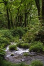 Kitanizawa stream at the foot of Daisen mountain in Tottori, Japan Royalty Free Stock Photo