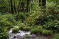 Kitanizawa stream at the foot of Daisen mountain in Tottori, Japan Royalty Free Stock Photo