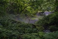 Kitanizawa stream at the foot of Daisen mountain in Tottori, Japan Royalty Free Stock Photo