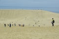 Tottori sand dune Royalty Free Stock Photo