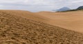 Tottori Sand Dunes in Japan Royalty Free Stock Photo
