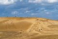 Tottori Sand Dunes, Sanin Kaigan National Park. Tottori Prefecture, Japan Royalty Free Stock Photo