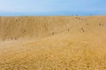 Tottori Sand Dunes in Tottori, Japan Royalty Free Stock Photo