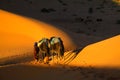 Touareg and camels Royalty Free Stock Photo