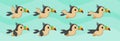 Toucan Sprite Sheet. Flying Toucan, Bird, Game Sprites