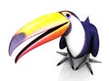 Toucan bird