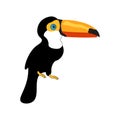 Toucan bird cartoon character. Toucan illustration