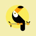Toucan bird. Flat design style illustrations. Template of icons and logos. Simple mascot
