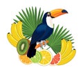 Toucan bird and fruits. Vector illustration.