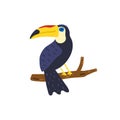 Toucan bird hand drawn illustration. Cute toucan isolated on white background. Bright tropical bird. Summer design Royalty Free Stock Photo