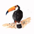 Toucan bird icon over white background. brazil culture concept. colorful design.beautiful tropical bird.splash watercolor textured Royalty Free Stock Photo