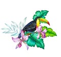 Toucan bird layout.