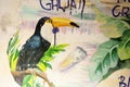 SESTRORETSK, RUSSIA: Toucan bird painting on the wall at the Sestroretsk, Russia at October 04, 2017