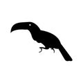 Toucan bird silhouette outline wildlife animal