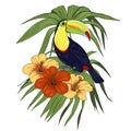 Toucan bird and tropical plants Royalty Free Stock Photo