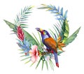 Toucan bird and Tropical wreath with bright leaves, hibiscus flowers, .Watercolor illustration. Royalty Free Stock Photo