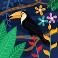 Toucan Bird Vector Illustration in Dark Background