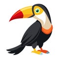 toucan bird white background Royalty Free Stock Photo