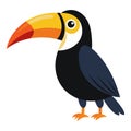 toucan bird white background Royalty Free Stock Photo