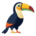 toucan bird white background Royalty Free Stock Photo