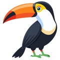toucan bird white background Royalty Free Stock Photo
