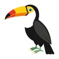 toucan bird white background Royalty Free Stock Photo
