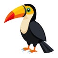toucan bird white background Royalty Free Stock Photo