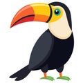 toucan bird white background Royalty Free Stock Photo