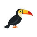toucan bird white background Royalty Free Stock Photo