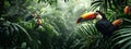 toucan birds in the jungle. selective focus. Royalty Free Stock Photo