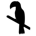 toucan black silhouette, on white background, isolated