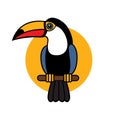 Toucan cartoon, Vector icon of toucan bird, Exotic colorful bird illustration