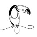 A toucan is depicted in a stylized manner, situated within elegant swirls and lines in a black and white illustration.