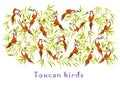 Toucan, exotic birds, tropical palm leaves, beautiful vector floral pattern