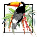 Toucan. Exotic nature background. tropical plant. Royalty Free Stock Photo