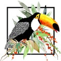Toucan. Exotic nature background. tropical plant. Royalty Free Stock Photo
