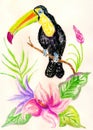 Toucan and exotic plants art
