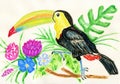 Toucan and exotic plants art