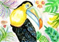 Toucan and exotic plants art