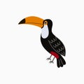 Toucan. Exotic tropical bird with big yellow beak. Vector.