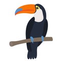 toucan flat design