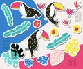 Toucan floral sticker collection