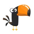 Funny toucan cartoon. Vector bird illustration