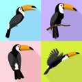 Toucan icons set, flat style