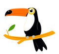 Toucan