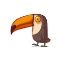 A Toucan, isolated vector illustration. Cute cartoon picture of a serene toucan standing on the ground. Drawn bird sticker Royalty Free Stock Photo