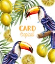 Toucan and lemon tropic card Vector watercolor. Exotic summer templates