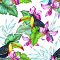 Toucan and orchids, tropical seamless patern. Royalty Free Stock Photo