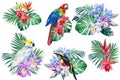 Toucan, palm leaves, tropical flowers orchid, watercolor Hand drawn illustration
