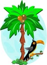 Toucan and Palm Tree